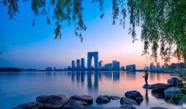 苏州景点爆料视频最新,探秘古韵今风，揭秘热门打卡地！